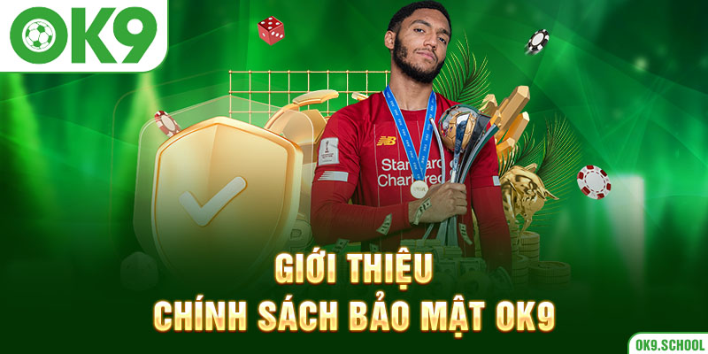 Giới thiệu về Chính sách bảo mật OK9