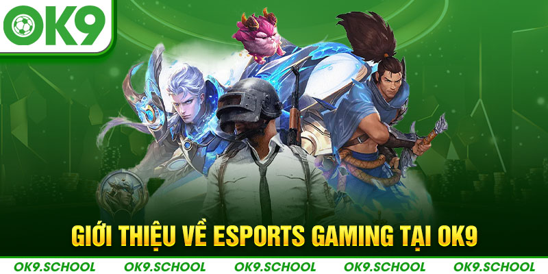 Giới thiệu về sảnh Esports Gaming tại OK9